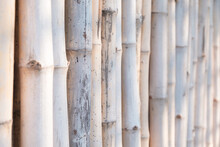 Closeup Bamboo Fence With Shallow Depth Of Field, Bamboo Trunk Pattern As Decorative Wall And Fence, Pale Brown Tone With Partly Sunlight, As Background For Simplicity Or Modesty Concept
