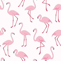 Wall Mural - Seamless pattern with flamingo birds. Vector graphics.