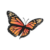 Fototapeta Miasto - Monarch Butterfly, Butterfly Icon, Butterfly Set, Butterfly Vector, Wildlife Animals, Vector Illustration Background