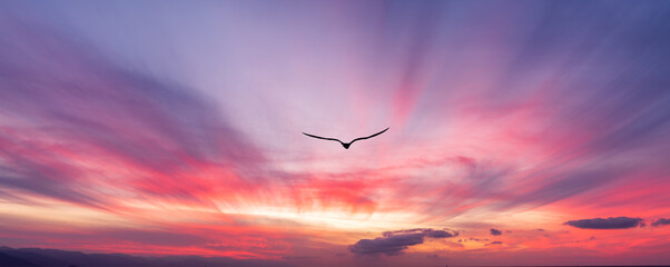 Wall Mural - Sunset Bird Flying Beautiful Ethereal Surreal Inspirational Hope Banner Header