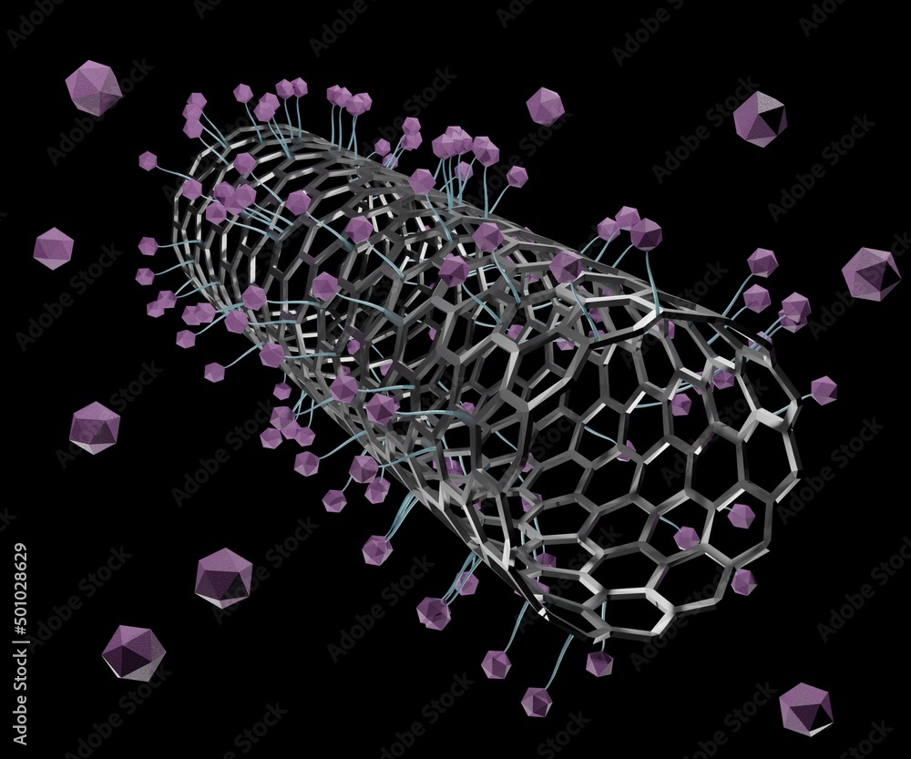application of carbon nanotubes as target carriers in drug delivery ...