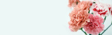 Bouquet Of Beautiful Carnations On White Background With Space For Text, Closeup