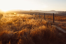 Golden Hour On A Grassy Field With Posts