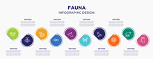 Fauna Concept Infographic Design Template. Included Ram, Big Bee, Earth Worm, Big Tuna, Doberman Dog Head, Butterfly Wings, Wild Duck, Angular Flower, Cat Head For Abstract Background.