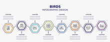 Birds Concept Infographic Template With 8 Step Or Option. Included Bulrush, Swing, Poppy, Harebell, Racoon, Swan Icons For Abstract Background.