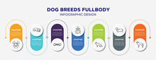 Dog Breeds Fullbody Concept Infographic Design Template. Included Spider Black Widow, Dog Sleeping, Pet Toy, Pollen Beetle, German Sheperd, Bas Hound, Rottweiler Icons For Abstract Background.