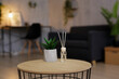 © Di Studio - close up of reed diffuser and house plant on the table in living room or home office