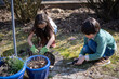 © Martin - children gardening