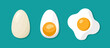 Boiled, fried and whole egg. Poached and fried scrambled egg isolated on green background. Cooking food with yolk and protein. Breakfast icon. Set of eggs. Vector