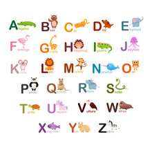 Animals Alphabet.  Cute ABC For Kids Education.