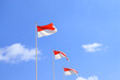 3 Monaco flags waving in the wind 