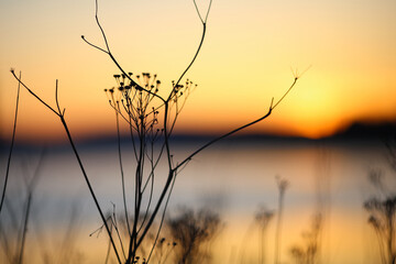 Poster - Spring sunset