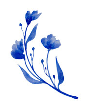 Beautiful Blue Flower Isolated On White Background