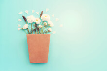 Top View Image Of White Flowers Composition Over Blue Pastel Background