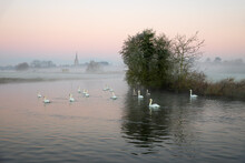 St. Lawrence Church And Swans On River Thames In Winter Mist At Dawn, Lechlade-on-Thames, Cotswolds, Gloucestershire