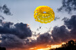 canvas print picture - Gliding with a parachute on the background of bright sunset.