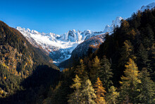 Clear Sky Over The Snowcapped Sciore Mountains And Cengalo Peak Framed By Woods In Autumn, Val Bregaglia, Graubunden, Switzerland