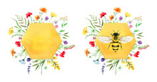 Honeycombs With Wildflowers And Honey Bee, Watercolor Illustration 