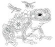 Floral adult coloring book page. Fairy tale frog. Ethereal animal consisting of flowers, leaves and dragonflies. 