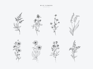 Wall Mural - trendy floral branch and minimalist flowers for logo or decorations. hand drawn line wedding herb, e
