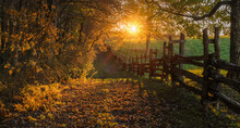 Late Evening Sunshine Filtering Through Fall Foliage With Trailing Split Rail Fence In The Cumberland Gap National Park