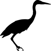 Great Blue Heron Silhouettes PNG SVG EPS Great Blue Heron Vector Great Blue Heron Clipart
