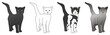 black white spotted grey color cat set vector drawing on isolated background object icon sign logo cartoon abstract art illustration love animal tomcat puss breed concept house home pussycat pet 