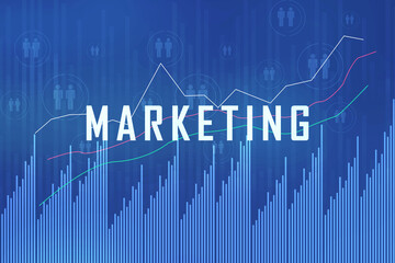 Wall Mural - 2D Digital Abstract Business Networking background