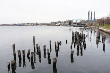 Wall Mural - Green Jacket Shoal along India Point Park in Providence Rhode Island during Autumn