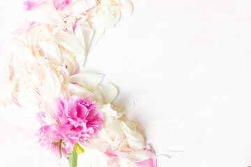 Wall Mural - abstract border of beautiful pink and white peony flowers with copy space for your text top view and