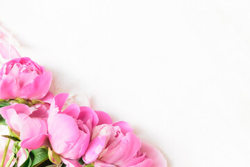 Wall Mural - abstract border of beautiful pink and white peony flowers with copy space for your text top view and