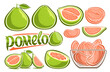 Vector Green Pomelo Set, lot collection of cut out illustrations various fruity tropical still life with leaves and section pomelo, many variety ripe fruits in transparent glass plate and word pomelo
