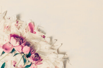 Wall Mural - border of beautiful retro pink and white peony flowers with copy space for your text top