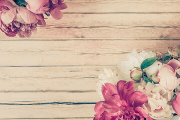 Wall Mural - beautiful retro pink and white peony flowers with copy space for your text