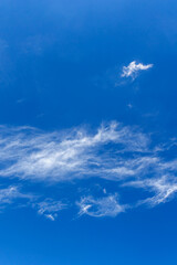 Wall Mural - daytime blue sky with wind scattered white cirrus clouds as a natural backdrop