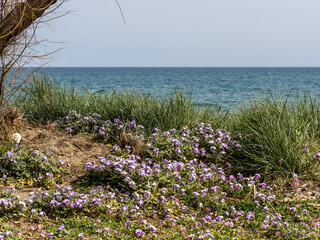 Poster - Landschaft