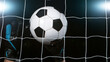 © Lukas Gojda - Goalkeeper catches soccer ball, close up, freeze motion.