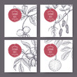 Set of four labels with peanut, Brazil nut, macadamia, pecan. Culinary nuts series.