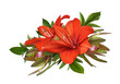 Red amaryllis flowers, leucadendron and ruscuc in a floral arrangement isolated