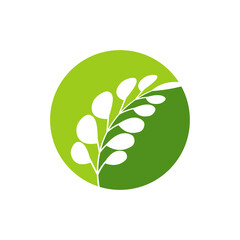 Wall Mural - tropical leaves logo icon design vector