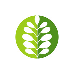 Wall Mural - tropical leaves logo icon design vector