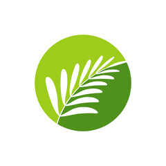 Wall Mural - tropical leaves logo icon design vector
