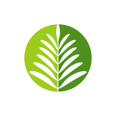 Wall Mural - tropical leaves logo icon design vector