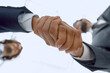 © ASDF - Two business people are holding hands to business cooperation.