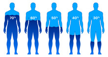 Male Body With Different Water Level Percentages, Isolated On White Background. Man Body Water Composition Vector Illustration.