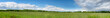 Banner with barley field in Spring with forest far away and blue sky with clouds. Panoramic composition in light green and blue colors. Germany, countryside in Brandenburg North from Berlin.
