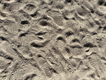 Beach Footprints Sandy Lake Shore Beach Sunset Feet Shoreline Shoe Boot Prints Dirt Walking Path