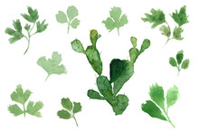 Set Of Green Leaves Watercolor Illustration On White