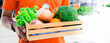 Delivering fresh fruits and vegetables to your doorstep eating non-toxic fruits and vegetables.Organic vegetables, broccoli,fresh milk,lettuce are arranged in a wooden tray.Banner cover design.