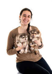 Wall Mural - puppy Finnish Lapphund and owner